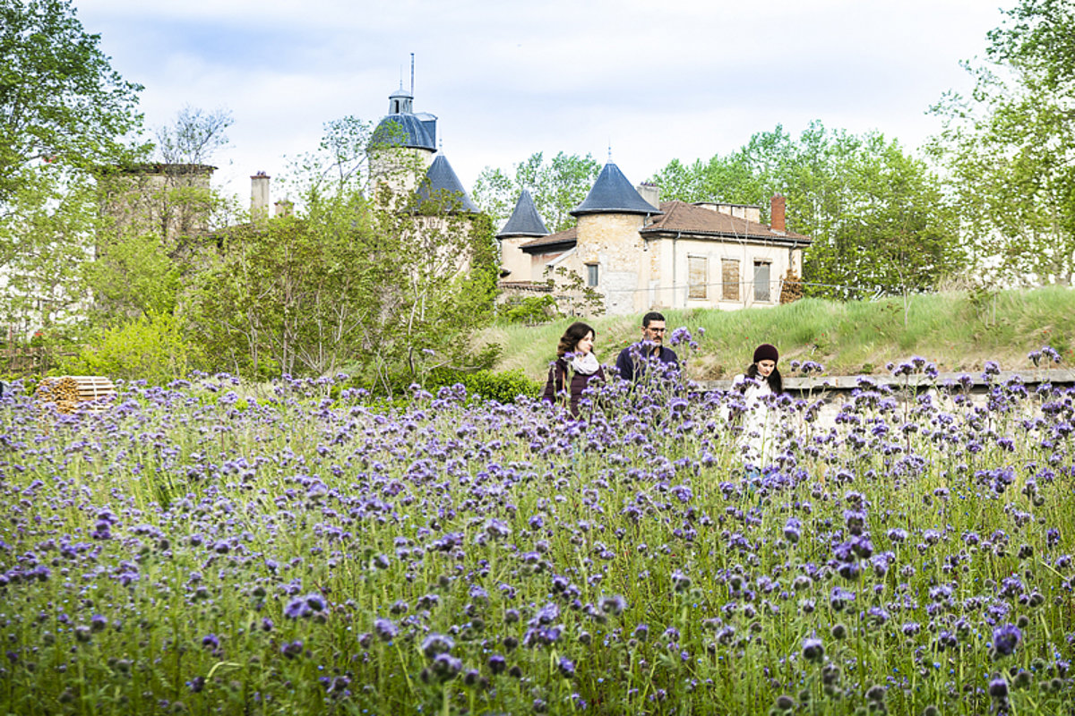 Vue sur le parc Blandan avec des fleurs violettes au premier plan