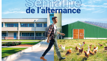 Voir l'actualité Vos jobs et rendez-vous emploi du moment