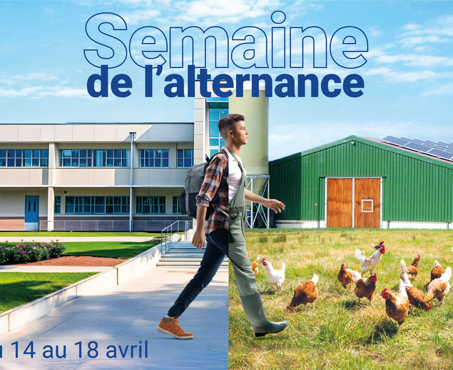 Voir l'actualité Vos jobs et rendez-vous emploi du moment