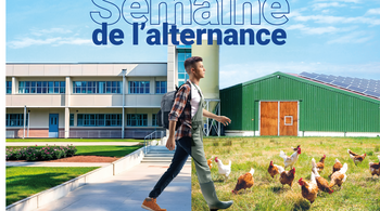 Voir l'actualité Vos jobs et rendez-vous emploi du moment