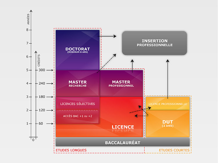 Schéma des études universitaires, du bac +1 au bac +8.