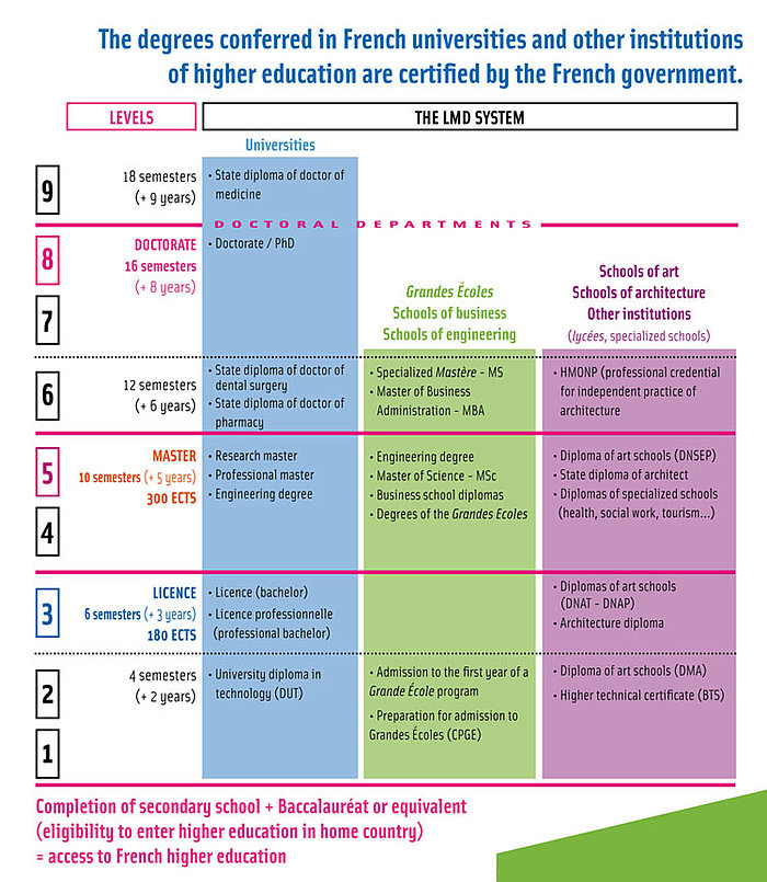 Diagram of the french higher education system