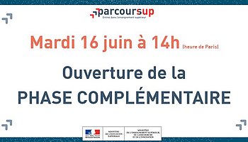 Voir l'actualité Parcoursup 2020 : et maintenant ?