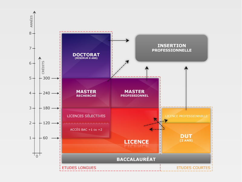 Schéma des études universitaires, du bac +1 au bac +8.